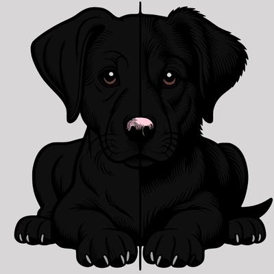 realistic dog split picture