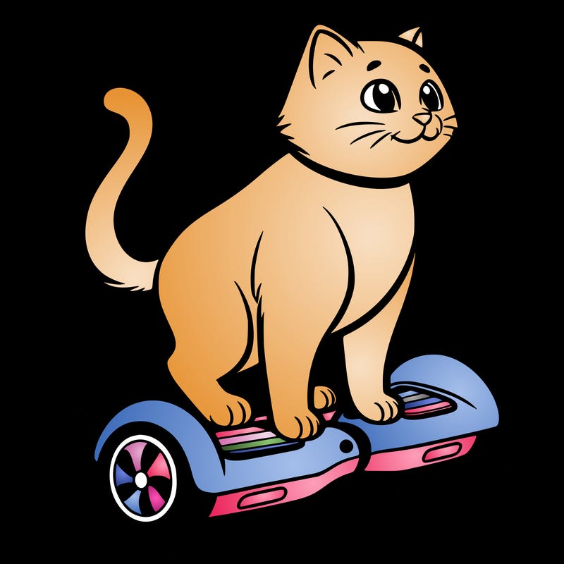 cat riding at hoverboard