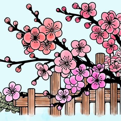 japan cherry blossom