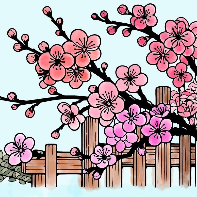 japan cherry blossom