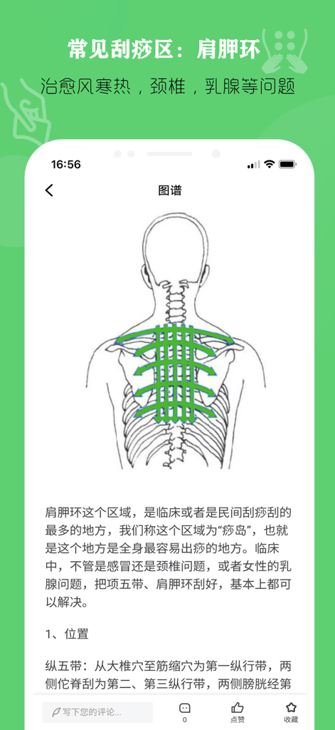 中医刮痧宝典 — 刮痧疗法理疗师 - Diagram of a human back with arrows showing Gua Sha massage directions for the scapular ring area