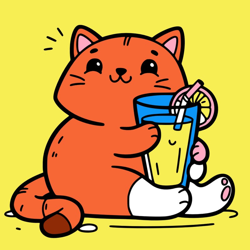 cat with orange juice