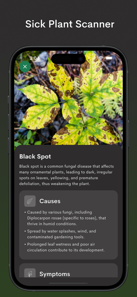 Plantix- Plant Leaf Identifier - A smartphone screen displaying the Plantix app diagnosing black spot disease on a plant leaf with detailed causes and symptoms.