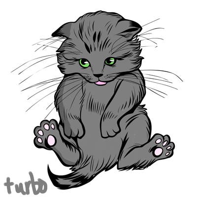 animals_20
