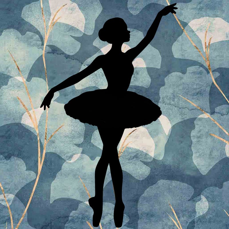 realistic ballerina