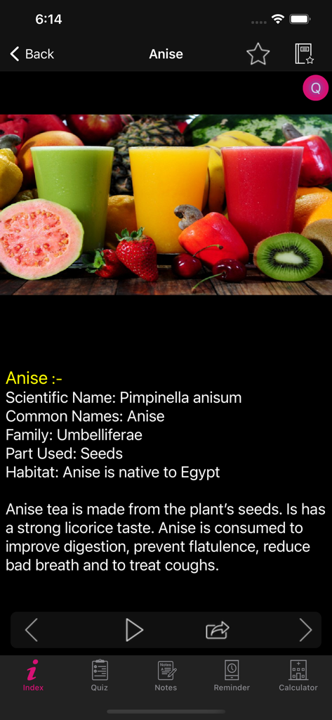 Natural Remedies Herbal - Información botánica y beneficios para la salud del Anís mostrados en la aplicación móvil Remedios Naturales Herbales.