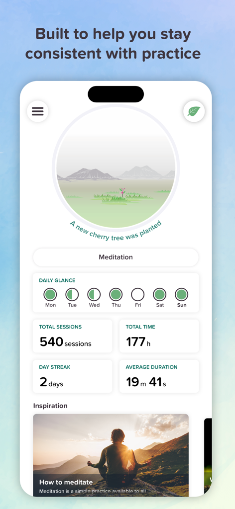 Timefully app dashboard showing meditation statistics including total sessions time streak and daily progress tracking