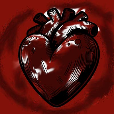 realistic heart