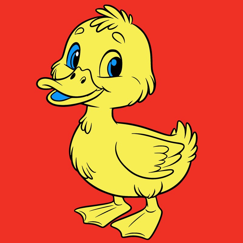 duck