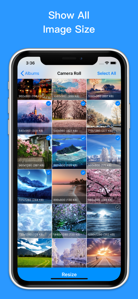 Image Size - Resize Image - 一括リサイズのために、寸法とファイルサイズが表示されたカメラロール写真を示すモバイルアプリのインターフェース