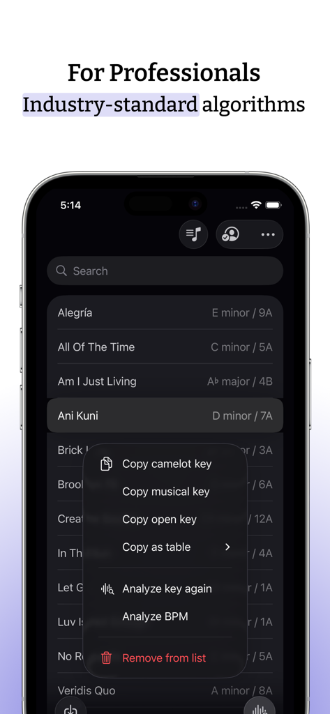 Key Finder - Interfaz de la aplicación Key Finder que muestra una lista de canciones con claves musicales y Camelot para DJs profesionales