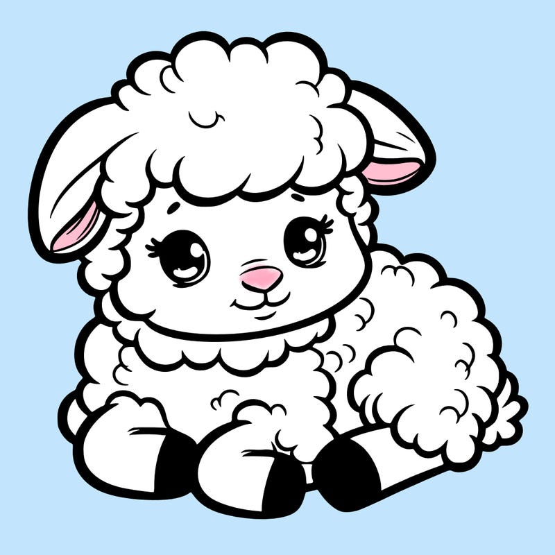 a baby sheep