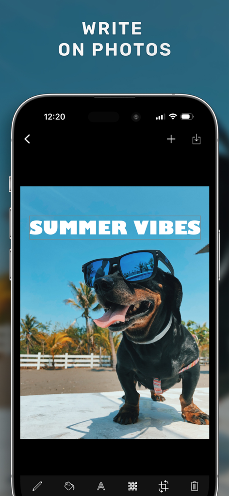 Watermark・Add Text on Photo - Pantalla de smartphone mostrando la interfaz de la aplicación Marca de Agua con el texto Verano Vibrante añadido a una foto de un perro con gafas de sol.