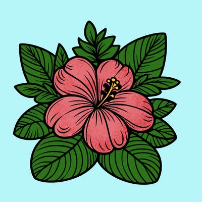 hawaii flower