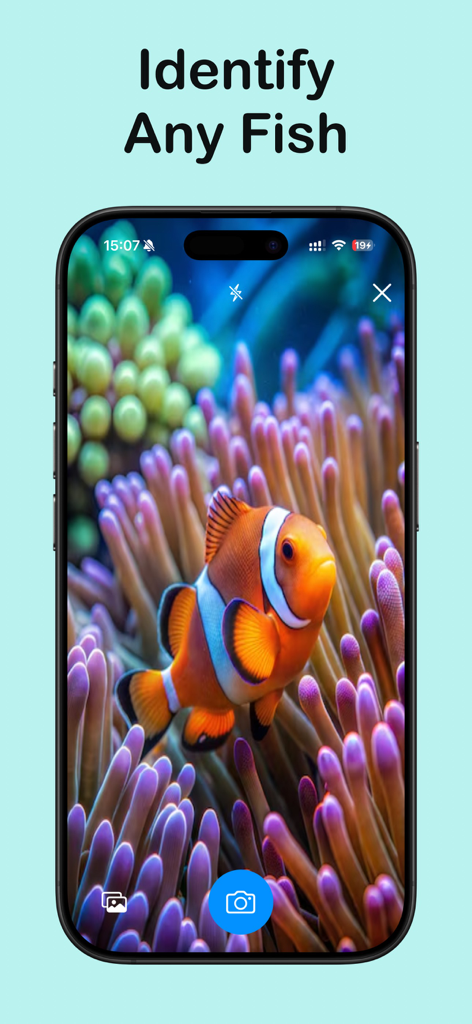 Fish AI - Species Identifier - Smartphone screen showing the Fish AI app camera interface identifying a clownfish in its anemone