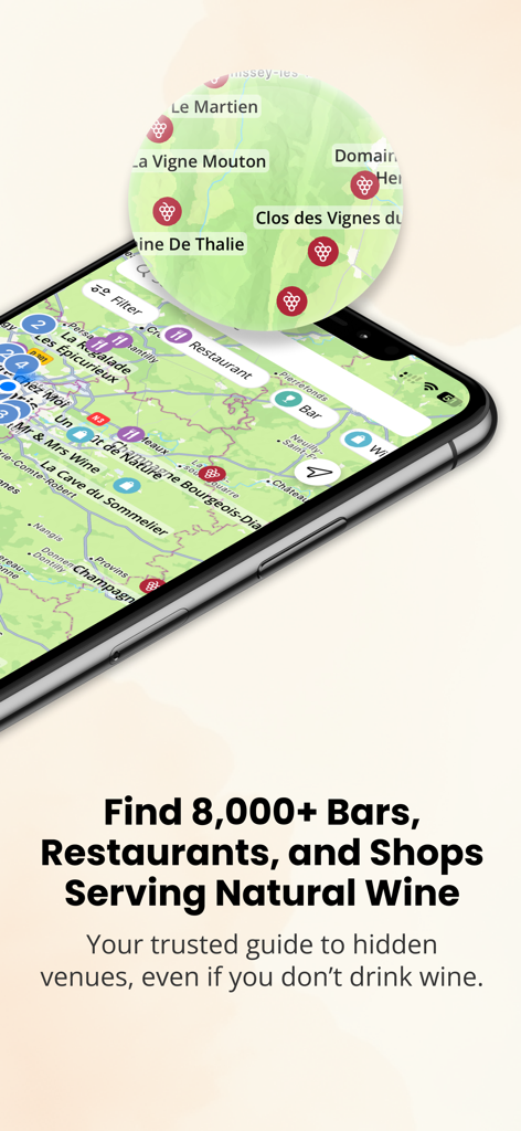 Kartenansicht in der Raisin-App mit Naturwein-Bars, Restaurants und Läden