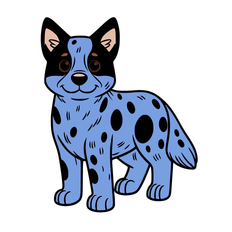 bluey heeler