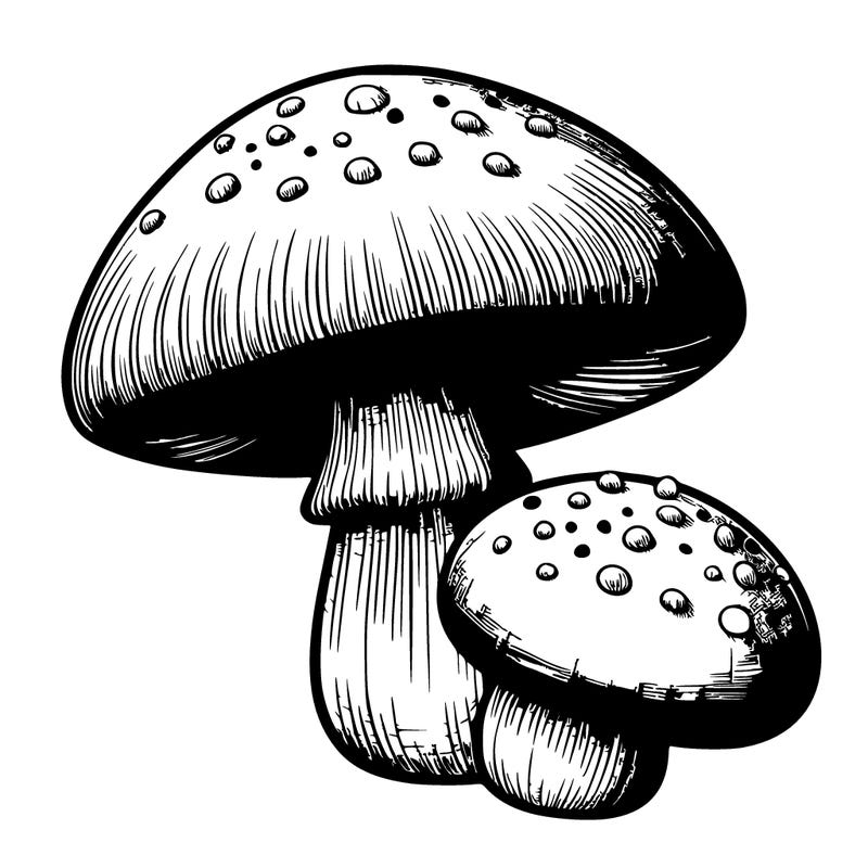 realistic mushroom