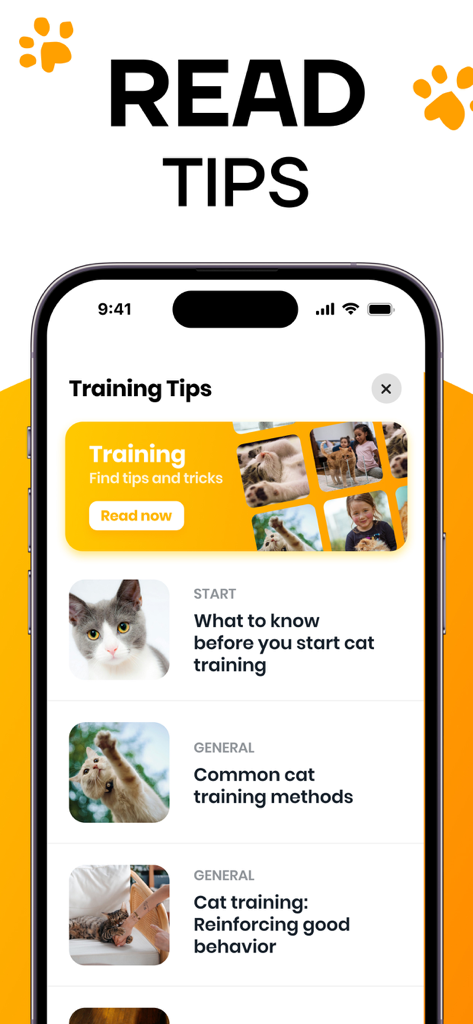 Tela do iPhone exibindo dicas e artigos de treinamento para gatos com conselhos úteis para donos de animais de estimação.