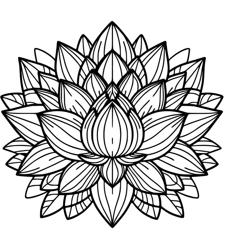 lotus flower mandala