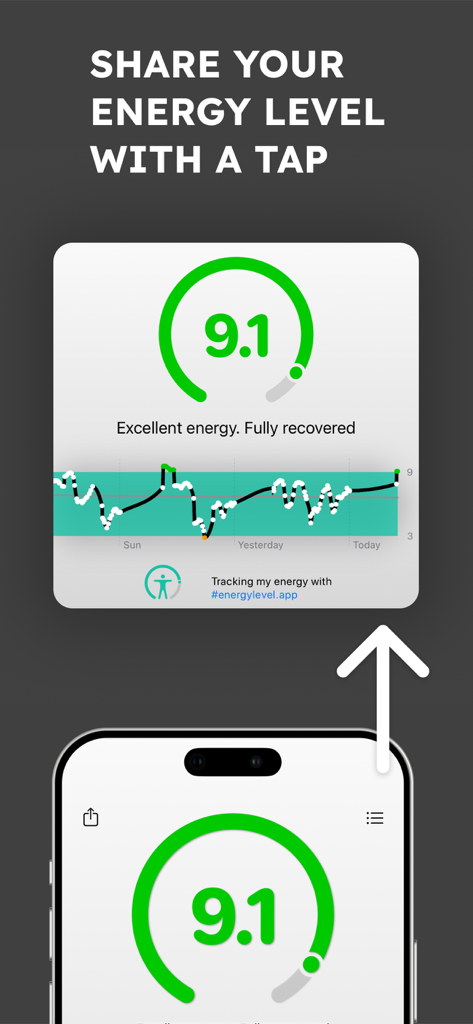 Interface de l'application Niveau d'Énergie sur iPhone montrant un score d'énergie de 9,1 et une carte de statut partageable.