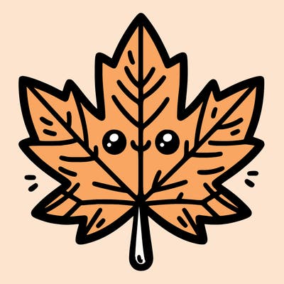 maple leaf