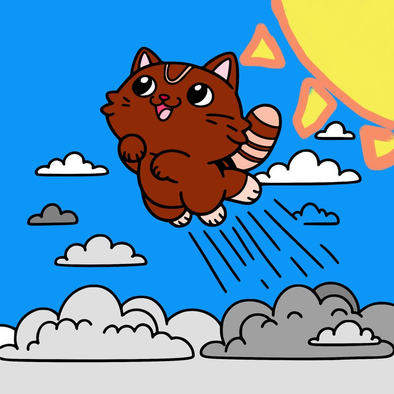a cat goes flying into the sky