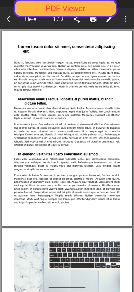 PDF: Viewer - Editor - 表示および編集ツールを備えたPDFドキュメントを表示するモバイルアプリケーションインターフェイス。