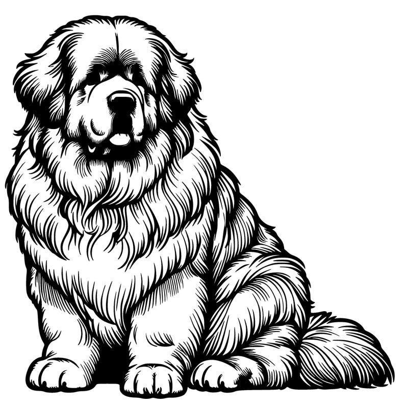 realistic newfoundland dog