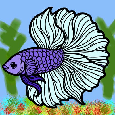 betta fish