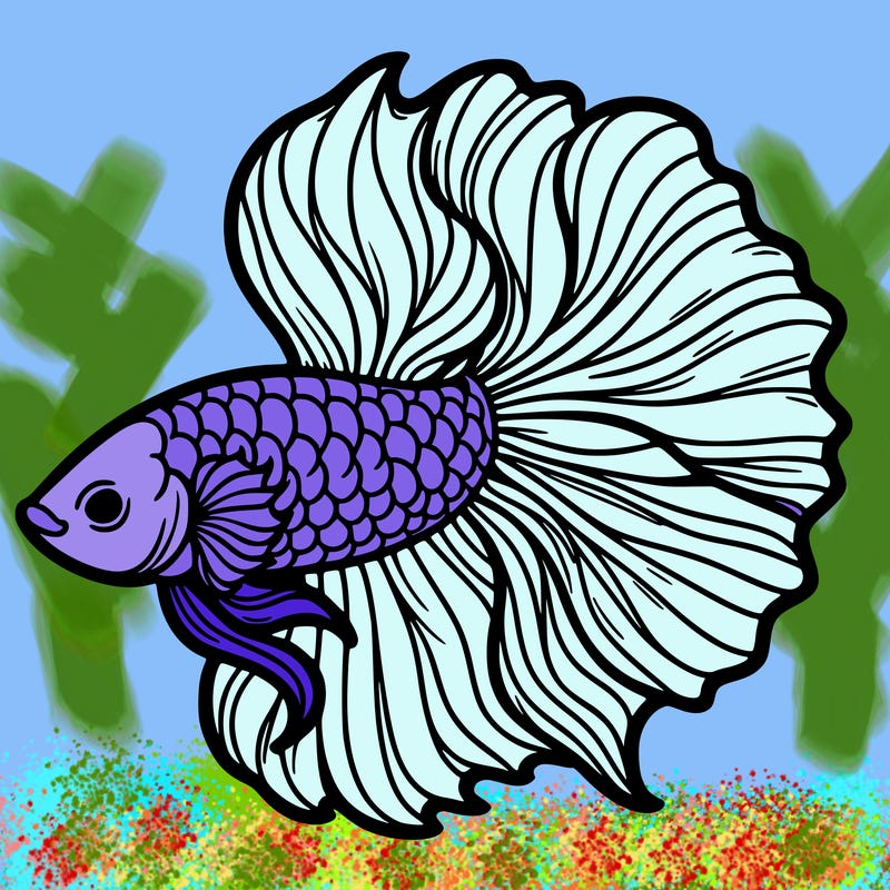 betta fish
