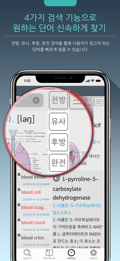 Mobile screen showing the search interface of the Korean Medical Dictionary app with four search modes and bilingual medical terminology