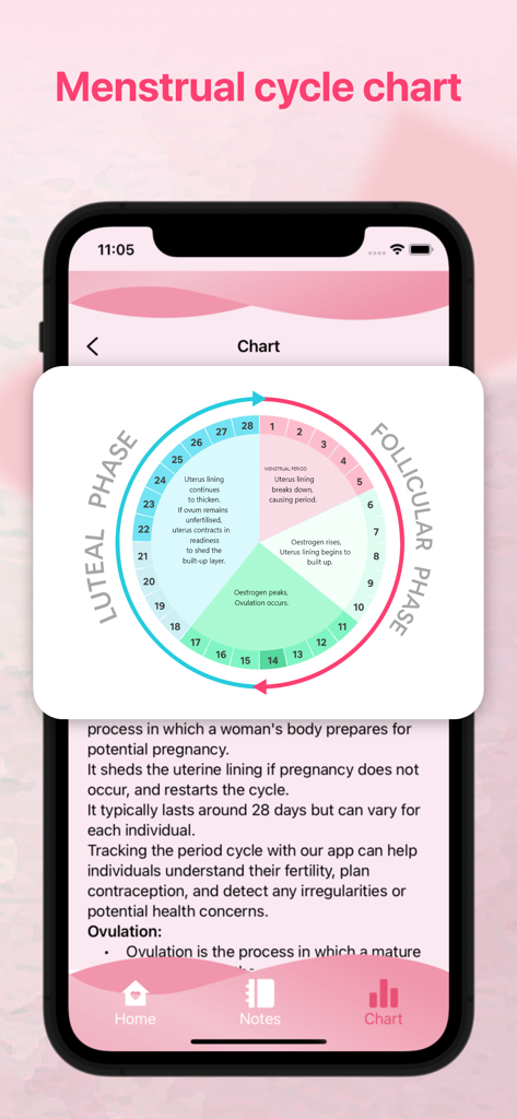 Ovulation + Period Tracker - A detailed 28-day menstrual cycle chart showing follicular and luteal phases in the app