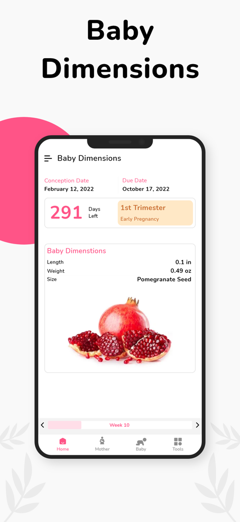 Pregnancy Tracker Week by Week - Pantalla de la aplicación de seguimiento del embarazo que muestra el tamaño y peso del bebé en comparación con una semilla de granada