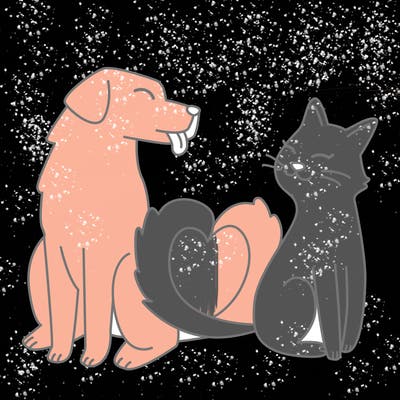 animals_22