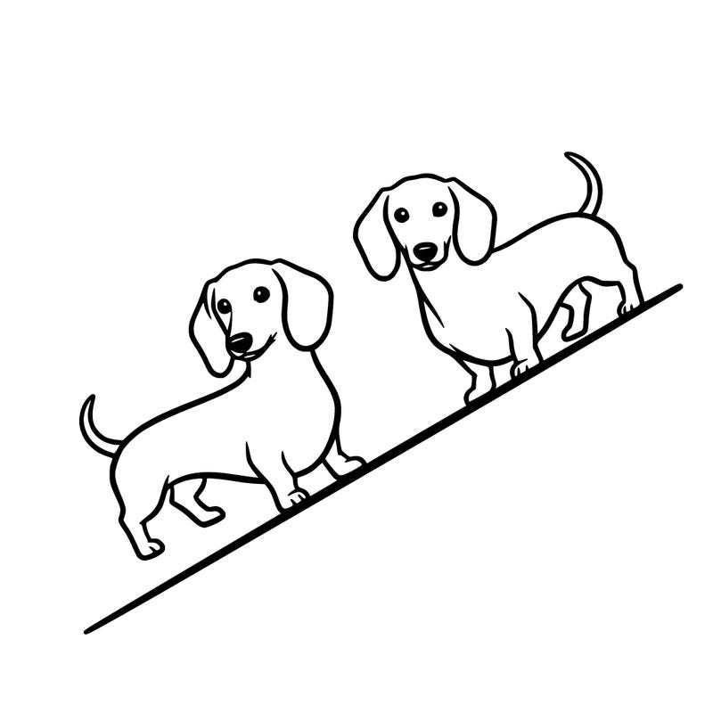 two dachshunds