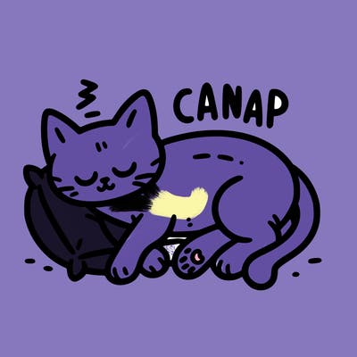catnap
