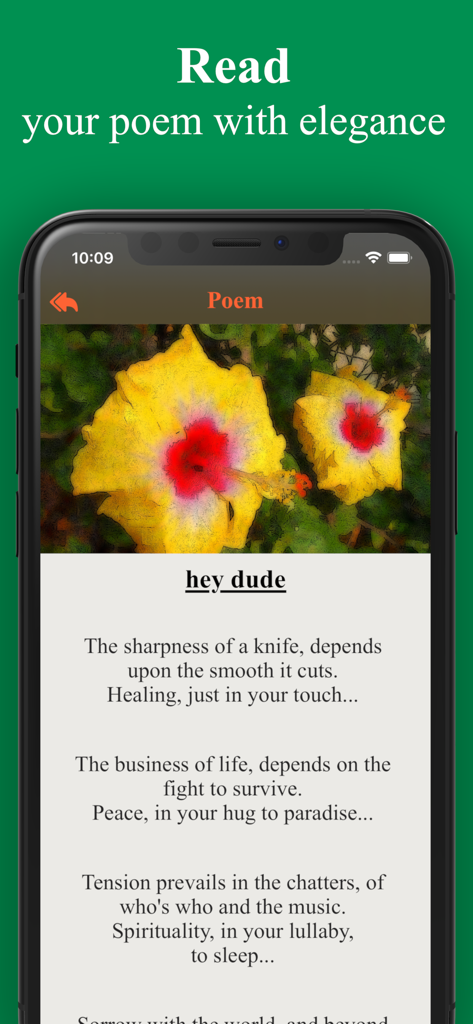 Poetik: On Poems and Poetry - Una captura de pantalla de la aplicación Poetik que muestra un poema titulado hey dude con una ilustración artística floral.