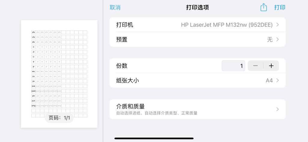 Print preview and options screen for a Chinese character and pinyin practice sheet on an iPad