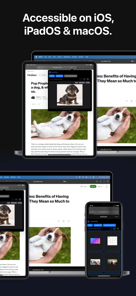 iPhone, iPad 및 MacBook Pro 화면에 표시되는 Img Picker 웹 확장 프로그램으로, 기기 간 호환성을 보여줍니다.