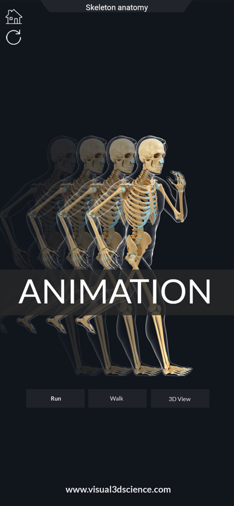 My Skeleton Anatomy - A 3D human skeleton model showing walking and running animation in the My Skeleton Anatomy app