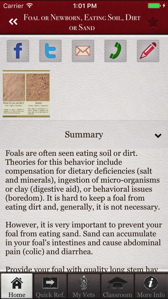 Horse Side Vet Guide - 子馬が土や砂を食べる原因とリスクを説明するHorse Side Vet Guideアプリの画面