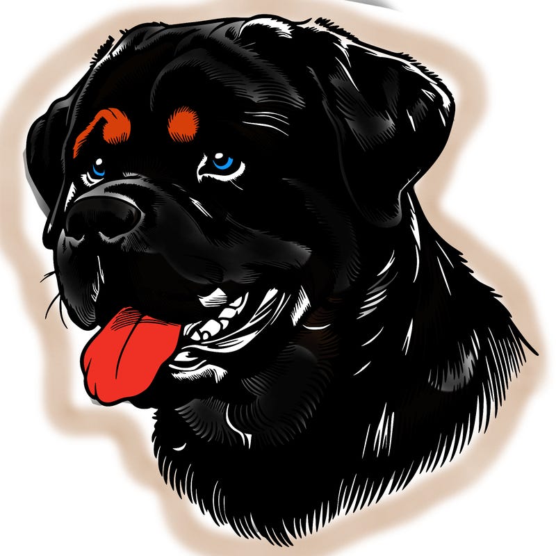 realistic rottweiler