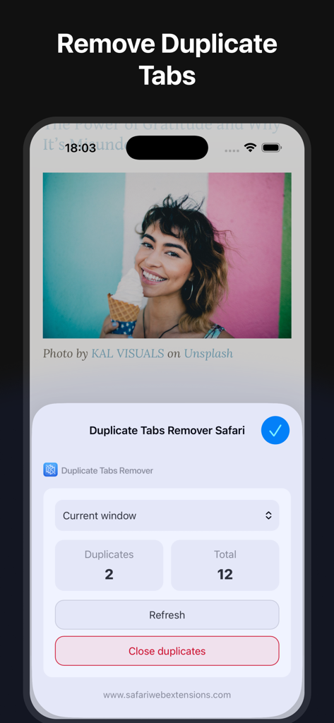 Duplicate Tabs Remover - iPhone screenshot showing the Duplicate Tabs Remover Safari extension interface with the option to close two duplicate tabs out of twelve total