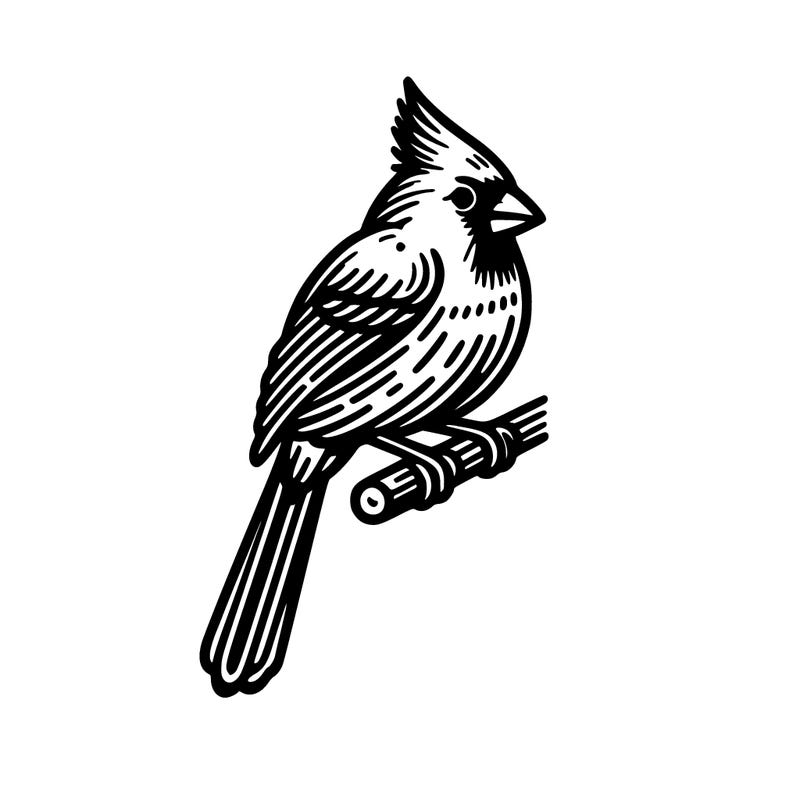 cardinal