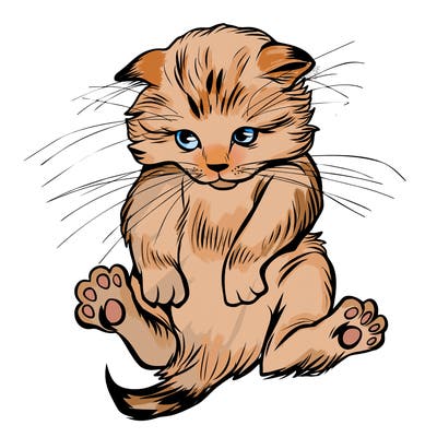 animals_20