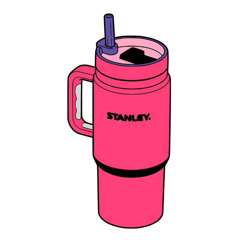 stanley water bottle