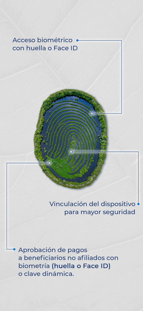 Pantalla de la aplicación móvil que muestra funciones de seguridad biométrica y vinculación de dispositivos para NEXO Pago Movil