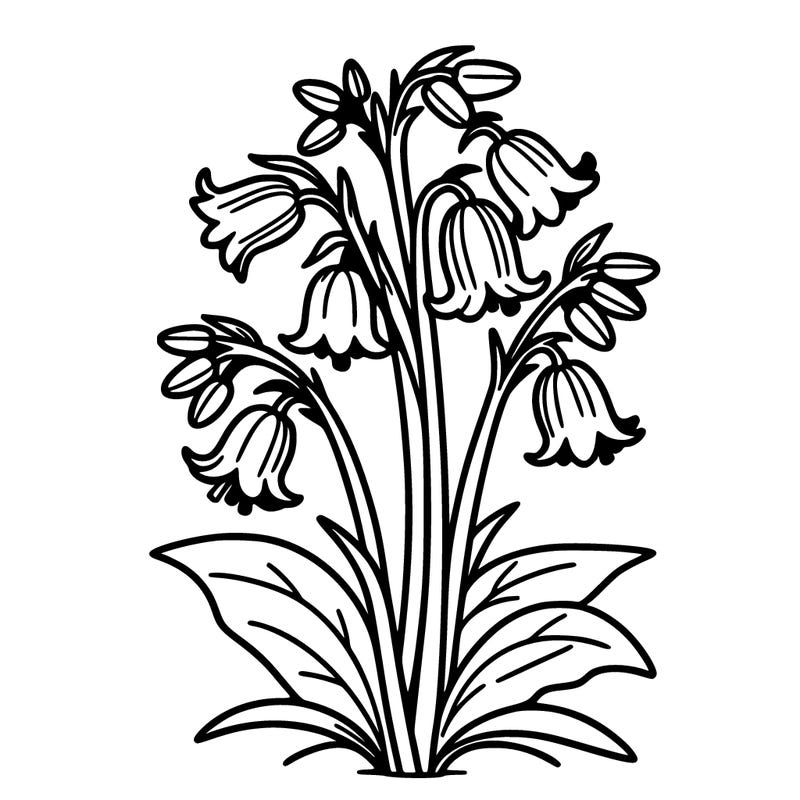 bluebells make it realistic