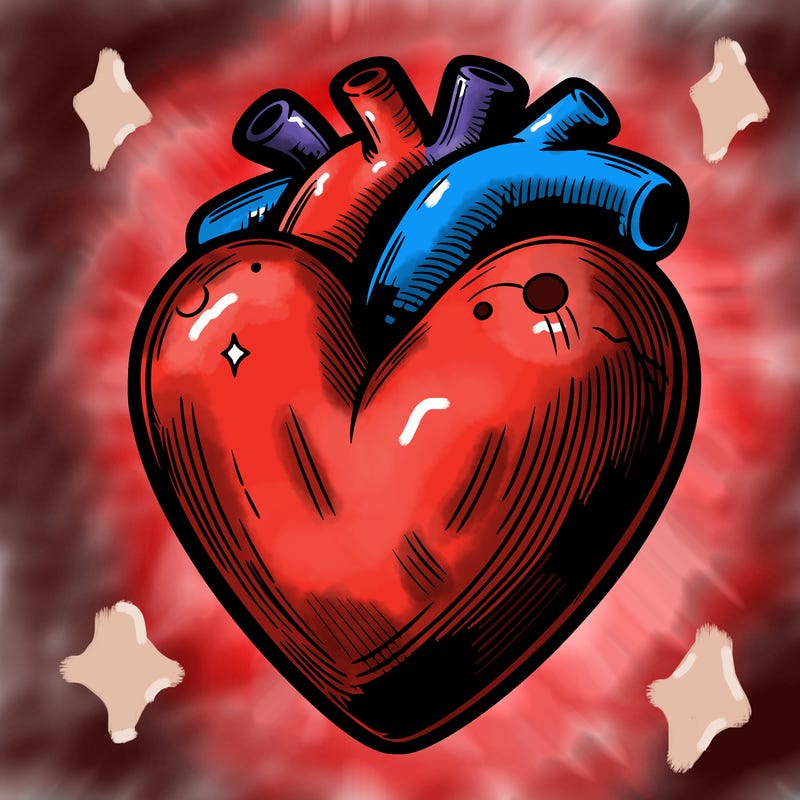 realistic heart